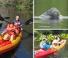 A family is kayaking on a scenic river with a close-up inset of a manatee