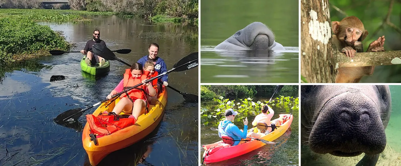 Awa Kayak Blue Springs Tour
