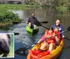 A family is kayaking on a scenic river with a close-up inset of a manatee