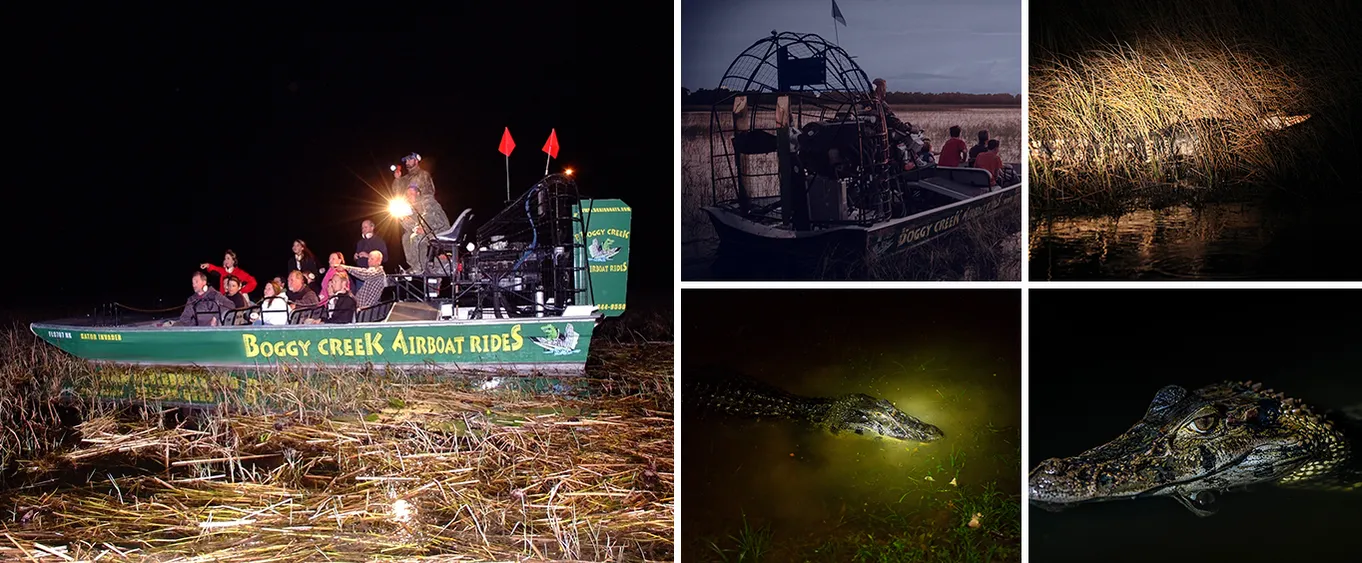 One Hour Airboat Ride at Night