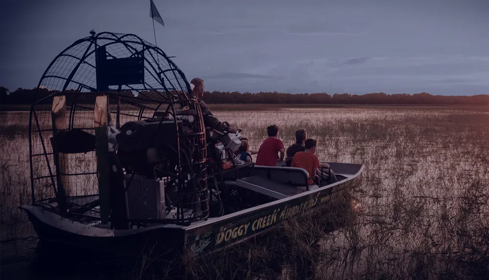 An airboat carrying passengers glides through a wetland area at twilight