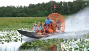 A group of people are joyfully waving while riding an airboat through a waterway with lush greenery on the sides.