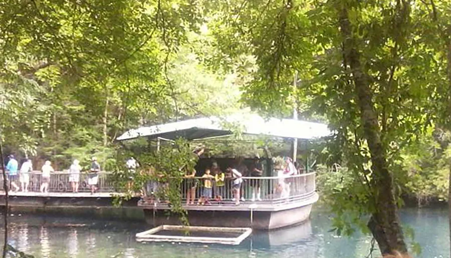 People gather on a dock by a glass-bottomed boat surrounded by lush greenery and clear water.