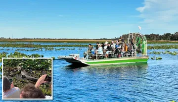 A group of people is on an airboat tour observing wildlife in a swampy area, with an inset image showing a close-up of an alligator.