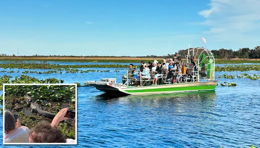 A group of people is on an airboat tour observing wildlife in a swampy area, with an inset image showing a close-up of an alligator.