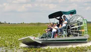 A group of passengers are enjoying a ride on an airboat gliding through a marshy area.