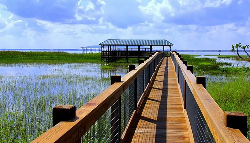 A wooden boardwalk stretches out over a lush wetland towards a covered observation deck under a bright blue sky with scattered clouds