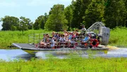 A group of tourists is enjoying a ride on an airboat in a lush wetland environment.