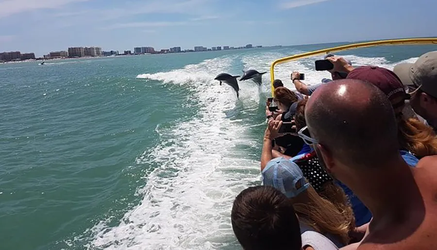 Passengers on a boat enjoy watching dolphins leaping out of the water alongside the vessel.