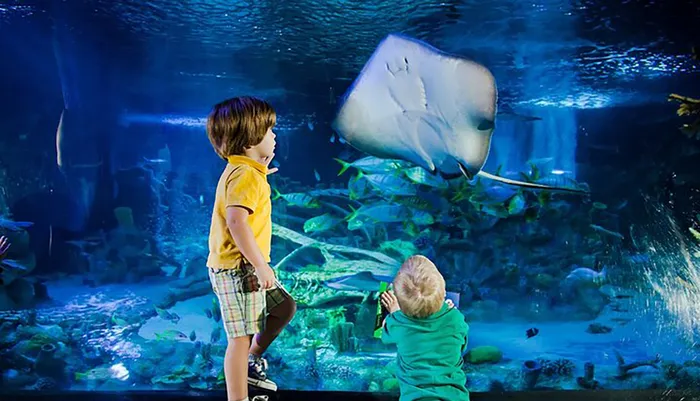 Sea Life Orlando Aquarium Photo