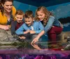Two children are observing and photographing aquatic life including a stingray in a large vibrant aquarium