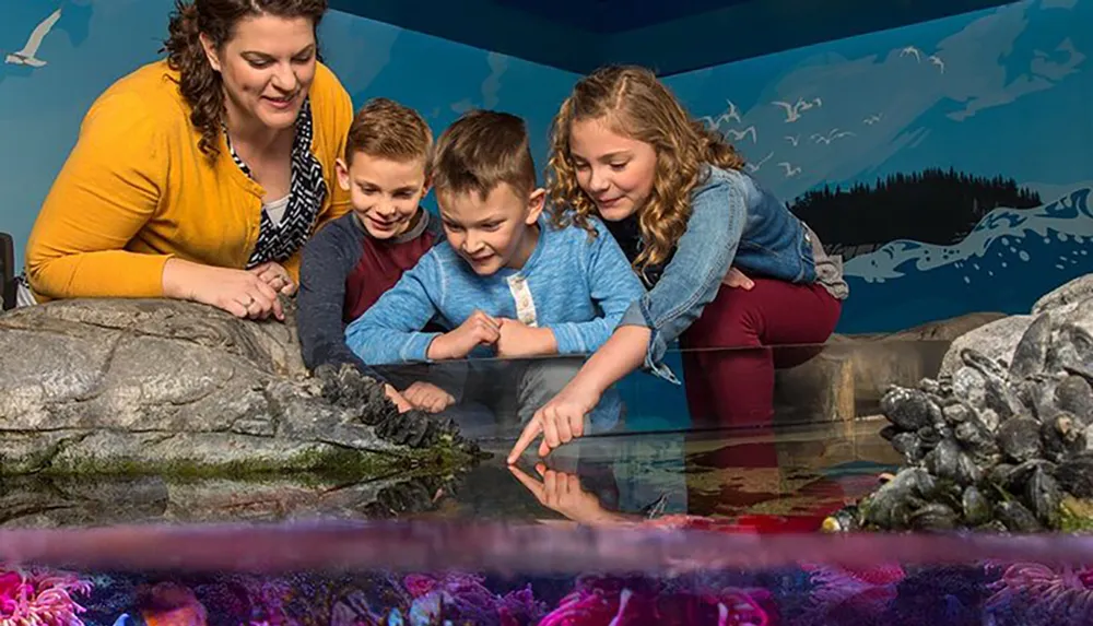 A family is engaged and smiling while exploring a colorful touch tank at an aquarium