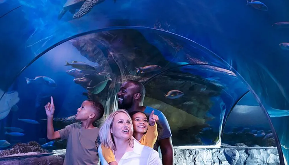 A family is admiring marine life in an underwater aquarium tunnel