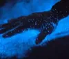 A hand is gently touching a surface that glows with a vivid blue light creating an ethereal effect