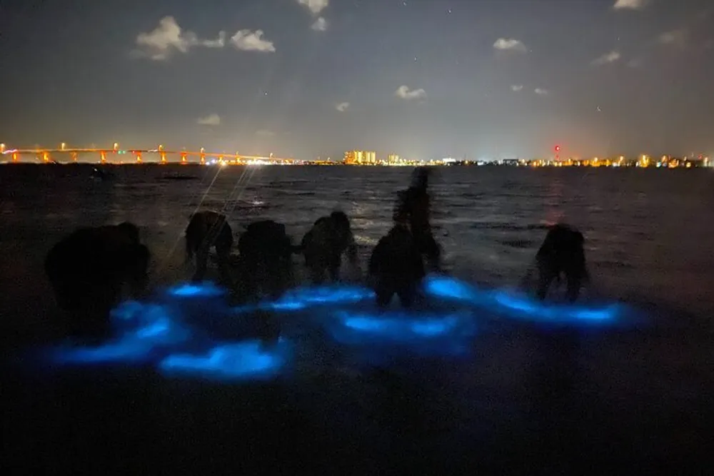 The image shows a nighttime seascape with a group of people in shadow highlighted by the enchanting blue glow of bioluminescent plankton against the backdrop of a distant city skyline