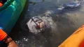 Florida Manatee Kayaking Tour Photo