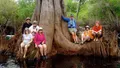 Manatee Kayak Tour at Blue Springs State Park Photo