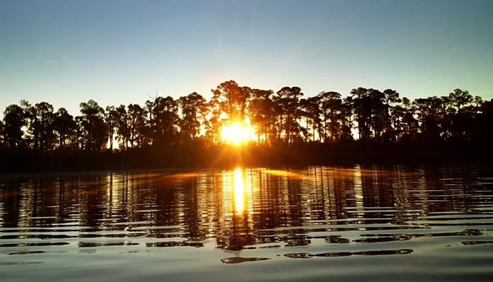 The image shows a serene sunset with the golden sun dipping below the silhouette of a tree line reflecting on the calm waters of a lake or river