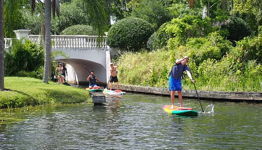 Three individuals are stand-up paddleboarding on a calm waterway under a sunny sky passing under a white arched bridge surrounded by lush greenery