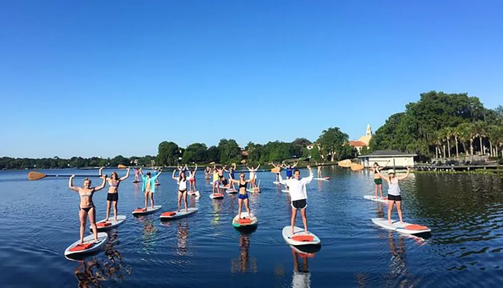 A group of people are stand-up paddleboarding on a calm lake on a sunny day