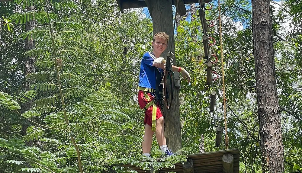 A person is standing on a wooden platform amidst trees equipped with safety gear for an aerial adventure or zip-lining course