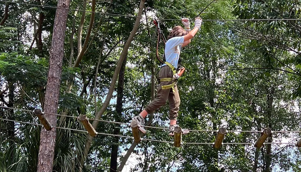 A person is carefully navigating a high ropes course among the trees secured with a harness and safety line