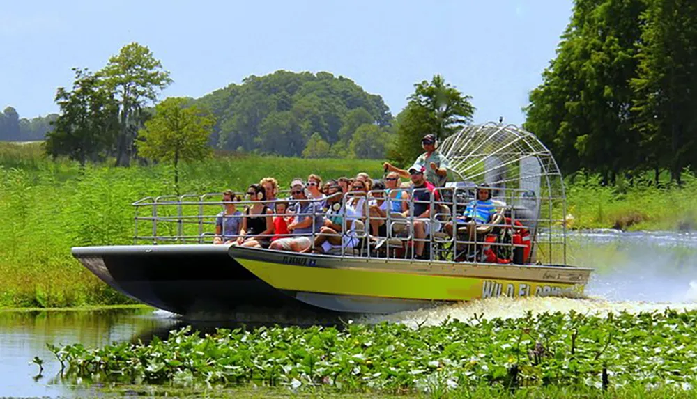 A group of tourists is enjoying a ride on an airboat through a verdant wetland environment