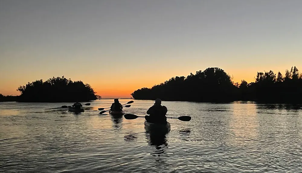 Kayakers paddle on tranquil waters against a backdrop of a colorful sunset and silhouetted trees