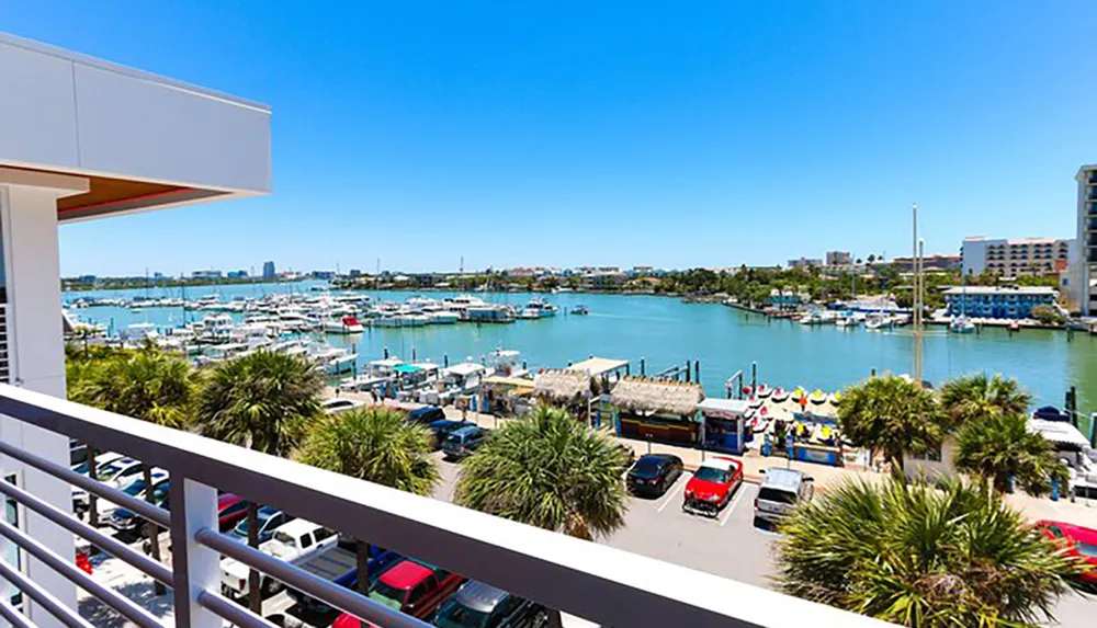 The image shows a sunny coastal scene viewed from a balcony featuring a bustling marina with boats surrounded by buildings and palm trees