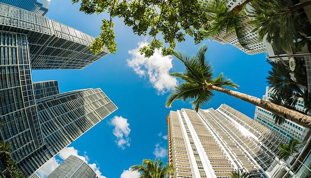 The image showcases a fisheye lens view looking up towards the sky framed by towering skyscrapers and tropical palm trees