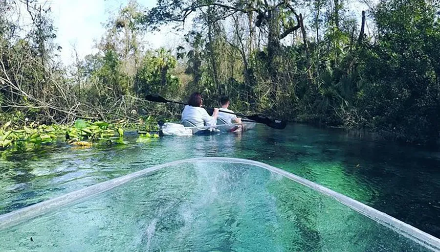 Two people are kayaking in clear water surrounded by lush greenery, with the perspective from the transparent front of the kayak.