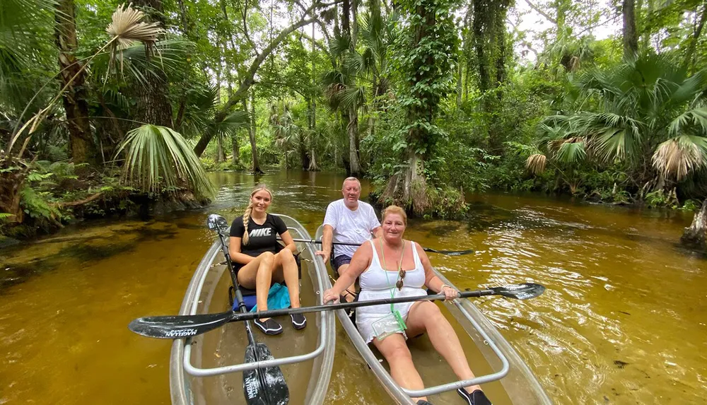 Three individuals are enjoying a canoe trip on a tranquil tree-lined river