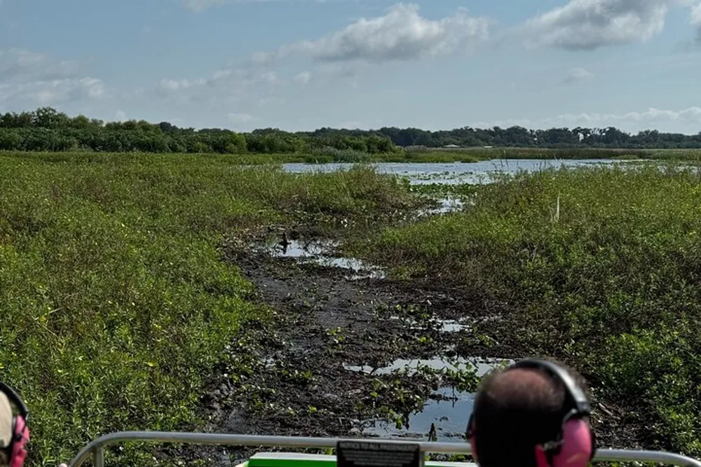 Passengers with headphones are looking out over a marshy wetland while on an outdoor tour