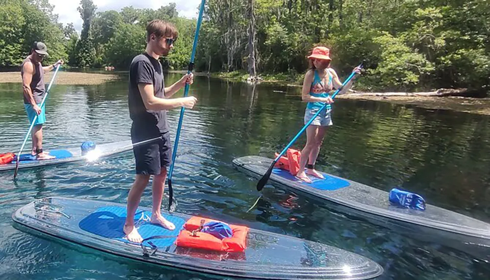 Three people are stand-up paddleboarding on a calm river with clear water and lush greenery in the background