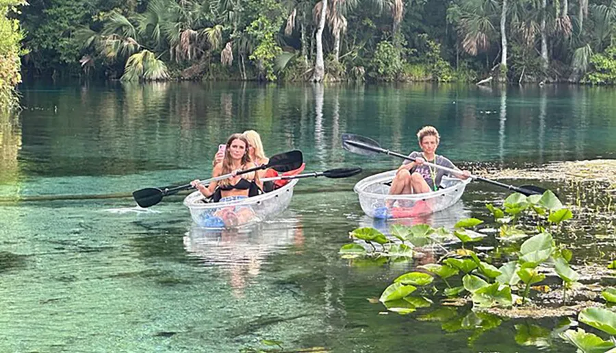 Two individuals are kayaking on a clear and calm river surrounded by lush greenery.