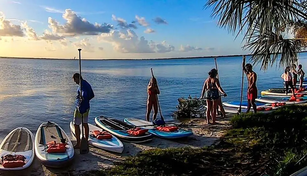 A group of people are preparing for paddleboarding near the waters edge at sunset
