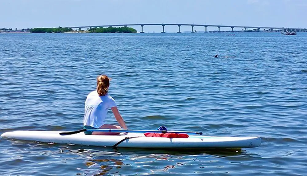 A person sits on a stand-up paddleboard on calm water with a bridge in the distance