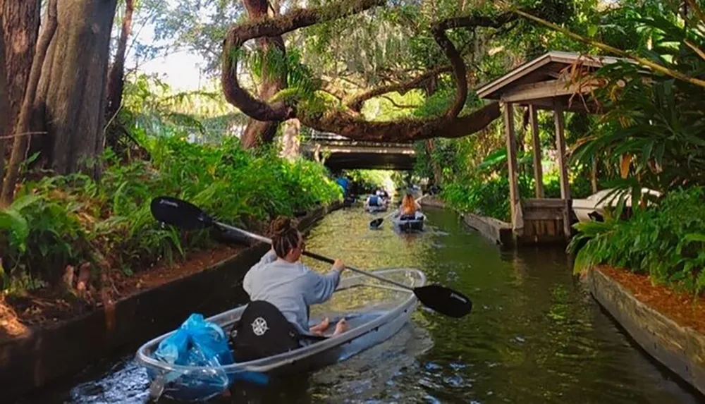 A person kayaks along a calm narrow waterway surrounded by lush greenery and overhanging trees following other kayakers
