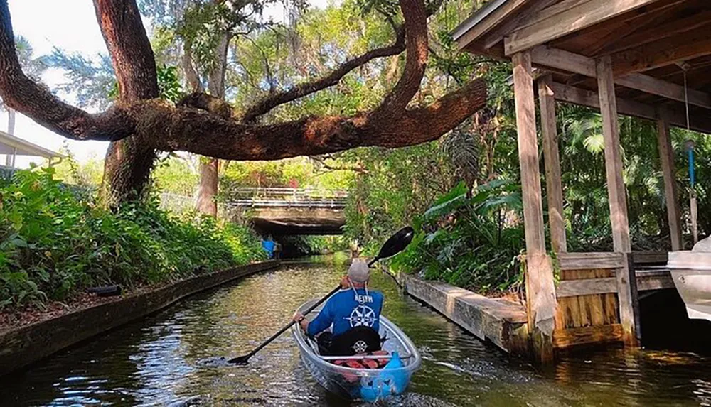 A person is kayaking under a lush canopy of trees in a serene narrow waterway with a wooden dock on the side
