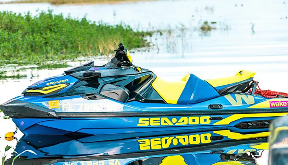 A blue and yellow Sea-Doo personal watercraft is docked by a body of water with vegetation in the background