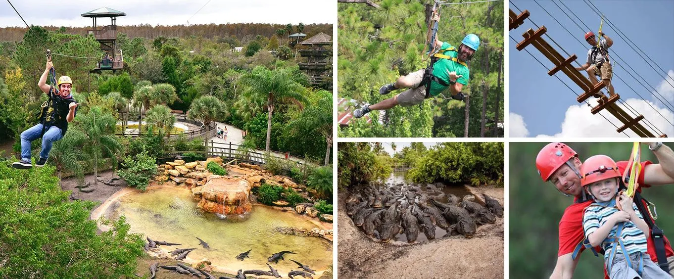 Gatorland Screamin Gator Zipline