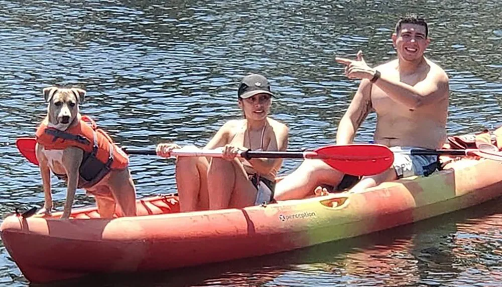 Two people and a dog all wearing life jackets are enjoying a sunny day out on the water in a tandem kayak