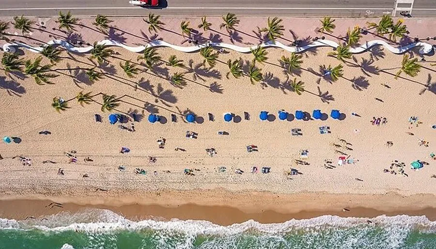 An aerial view shows a sun-drenched beach lined with palm trees and beach umbrellas, with people scattered on the sand and a clear blue ocean lapping the shore.
