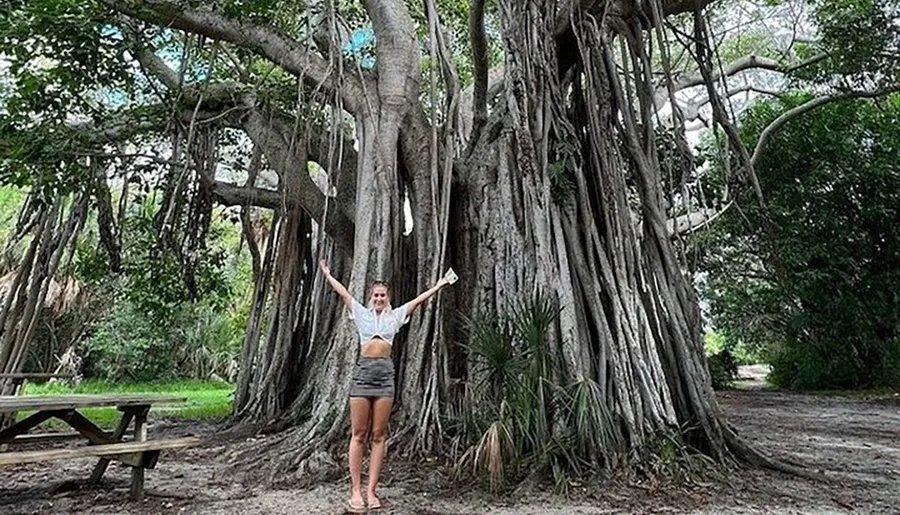 A person is standing with arms raised in front of a massive banyan tree, with roots and branches creating an intricate natural structure.