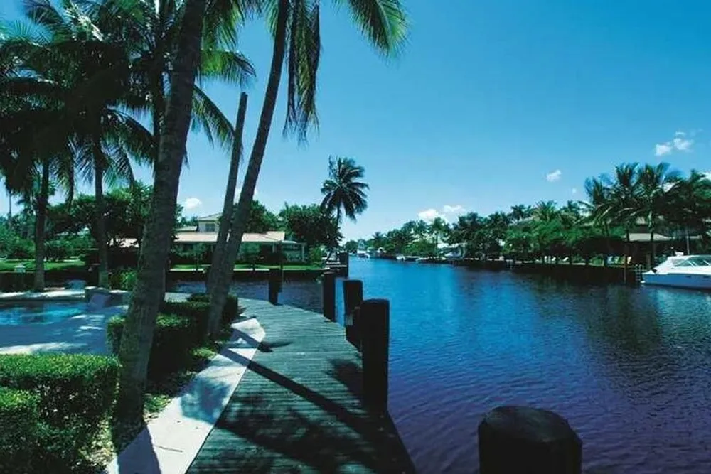 The image shows a tranquil waterfront with a wooden dock lined by palm trees leading to peaceful waters where boats are moored under a clear blue sky