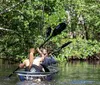 Two people are kayaking together through a tranquil mangrove forest