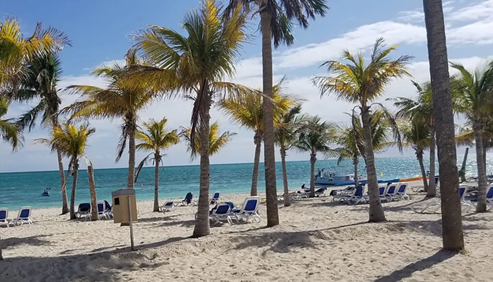 Palm trees sway on a sandy beach with lounge chairs overlooking a calm blue sea under a clear sky