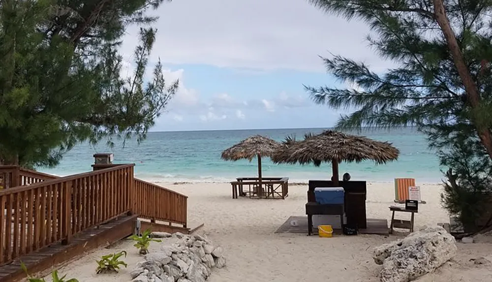 A tranquil beach is framed by trees and features straw umbrellas over a seating area with a clear view of the turquoise sea and blue sky