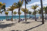 The image shows a sunny beach scene with palm trees, sandy shore, lounge chairs, and a clear blue ocean under a partly cloudy sky.