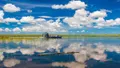 Everglades Express from Fort Lauderdale with Airboat Ride Photo